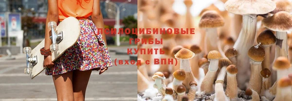ПСИЛОЦИБИНОВЫЕ ГРИБЫ Волосово