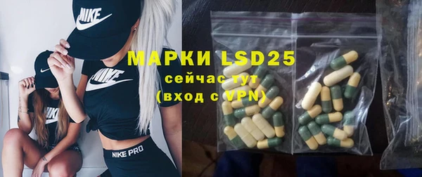 ПСИЛОЦИБИНОВЫЕ ГРИБЫ Волосово