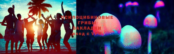 ПСИЛОЦИБИНОВЫЕ ГРИБЫ Волосово