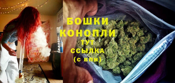 крисы Володарск