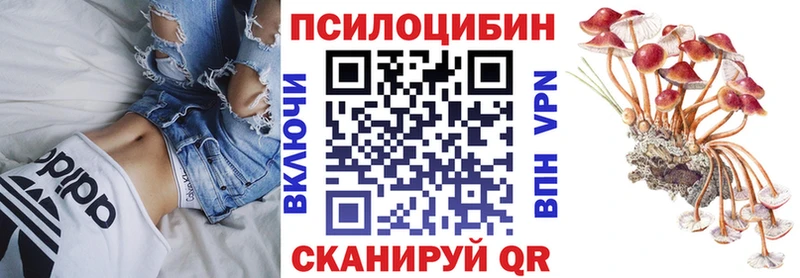 Галлюциногенные грибы Magic Shrooms  Купить где  Троицк 